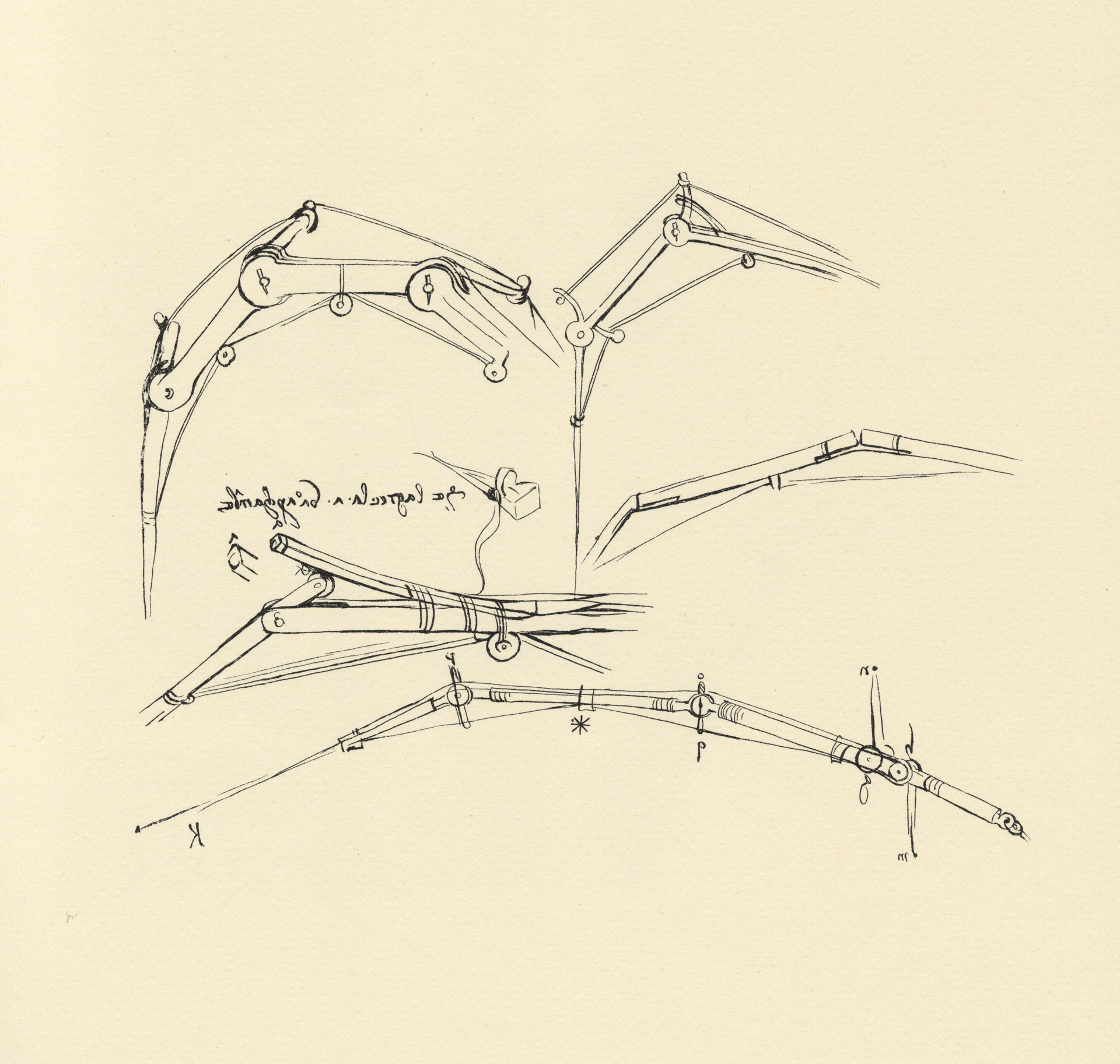 Leonardo da Vinci diagram for a proposed flying machine